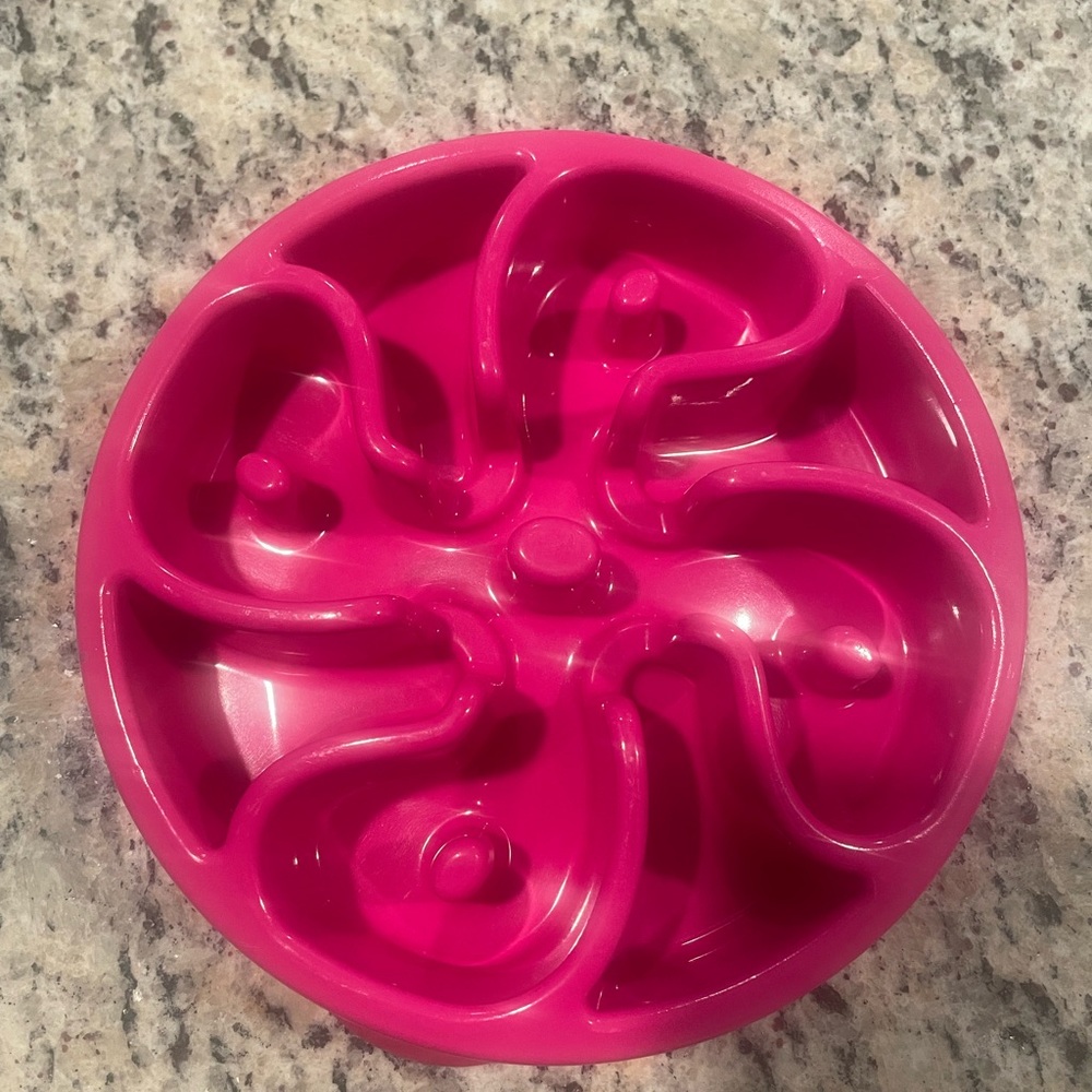 Outward Hound Slow Feeder Dog Bowl